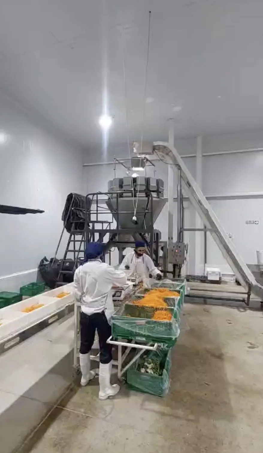 Línea de proceso y envasado de hortalizas en la planta de Ríe la Huerta, cliente de UV-Life